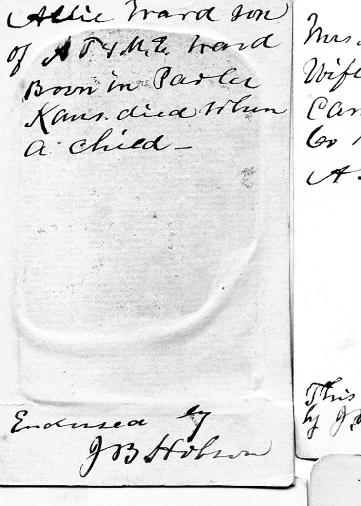 013 - Allie Ward Back